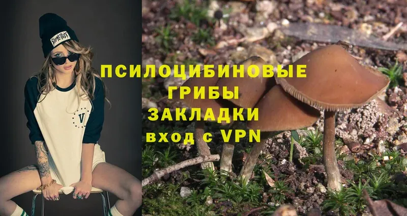 Псилоцибиновые грибы Psilocybe  Инза 